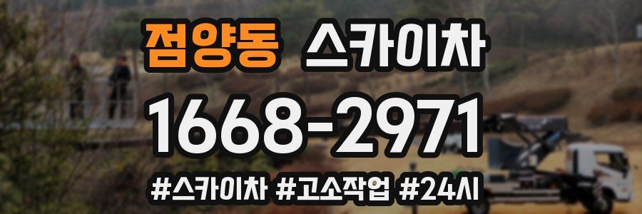 점양동 스카이차