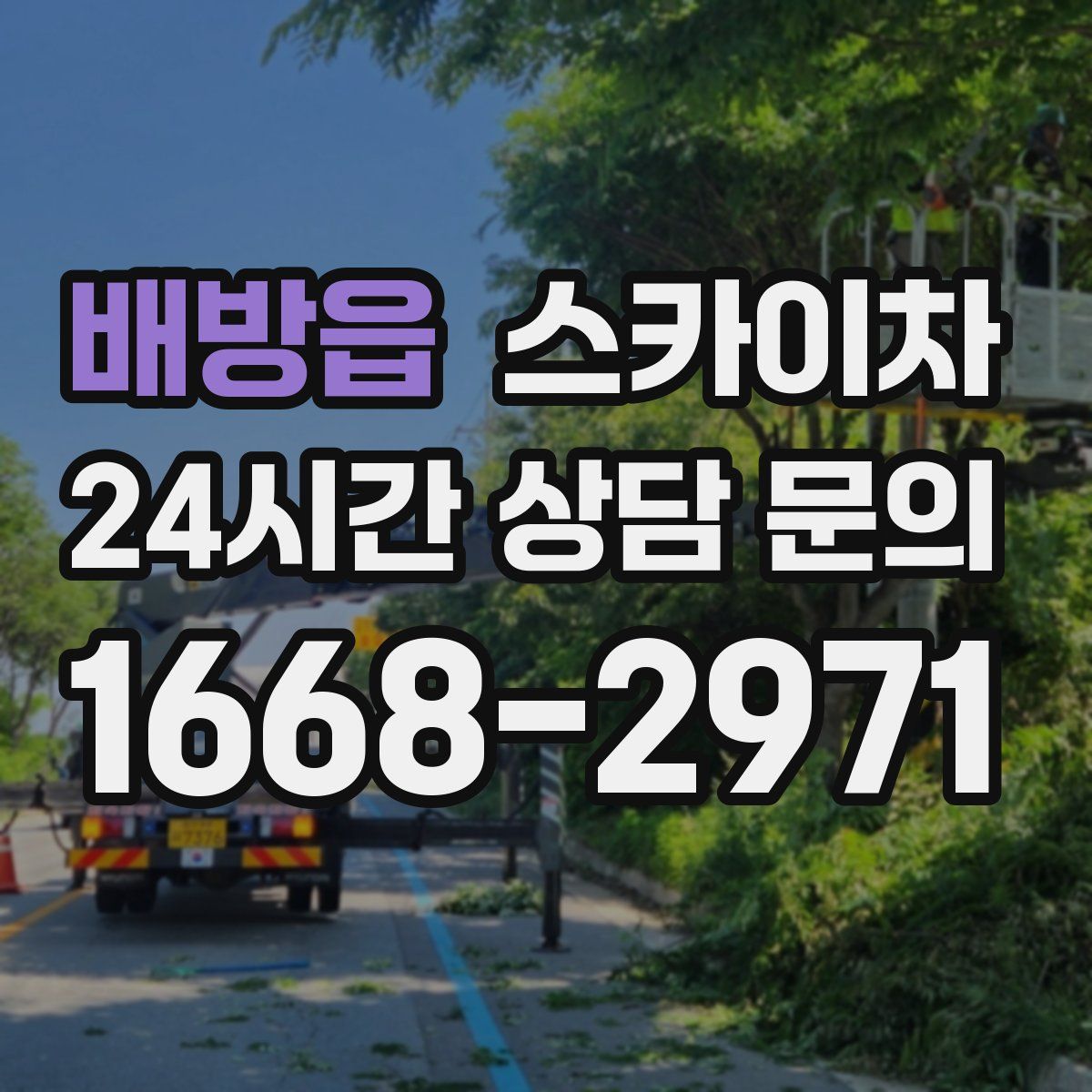 배방읍 스카이차