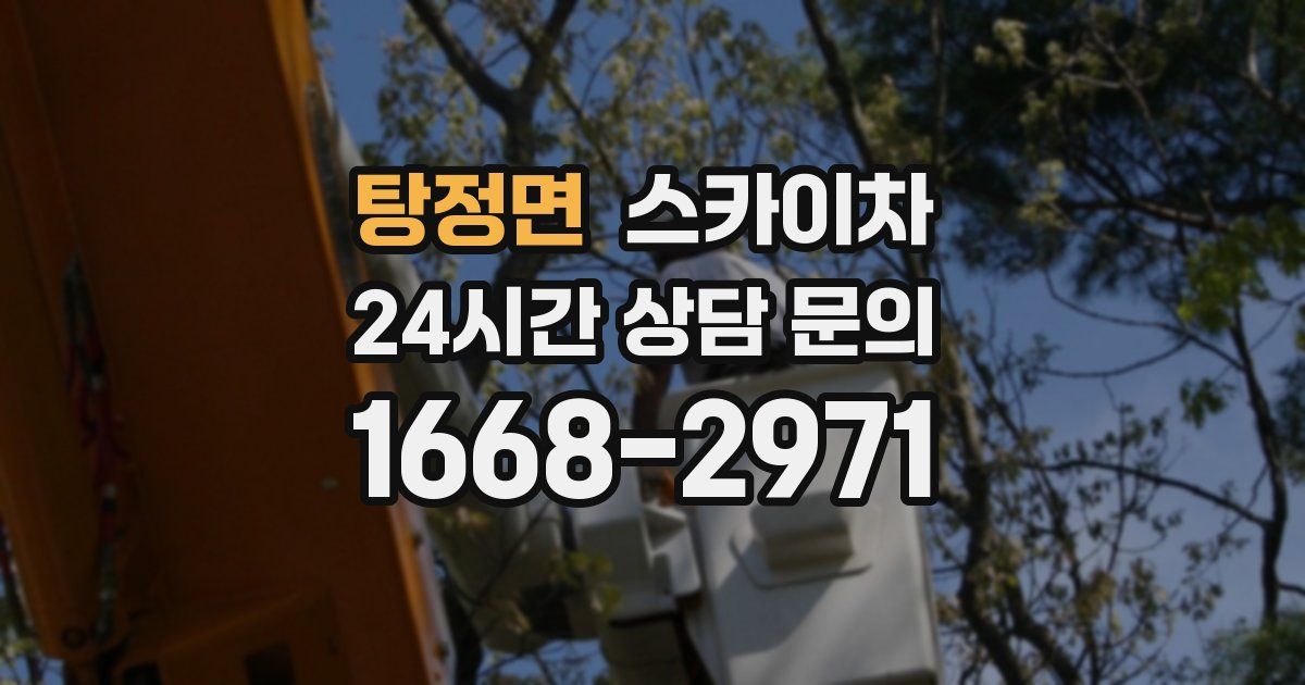 탕정면 스카이차