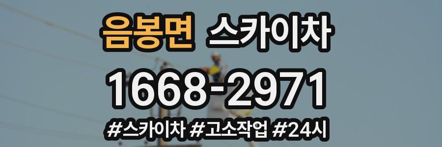 음봉면 스카이차