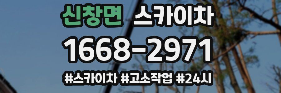 신창면 스카이차