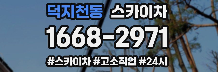 덕지천동 스카이차