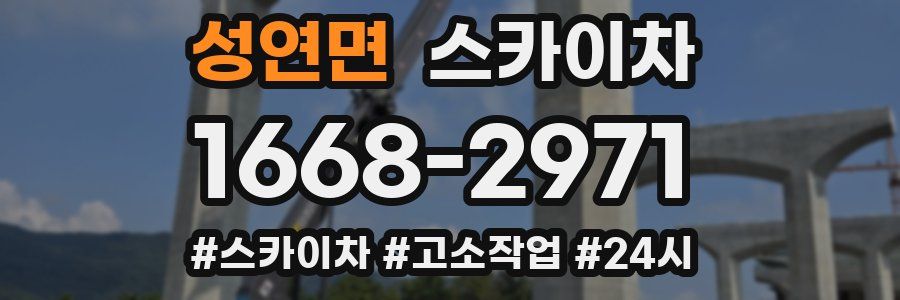 성연면 스카이차