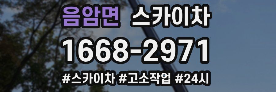 음암면 스카이차