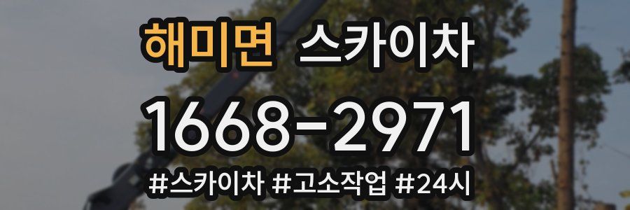 해미면 스카이차