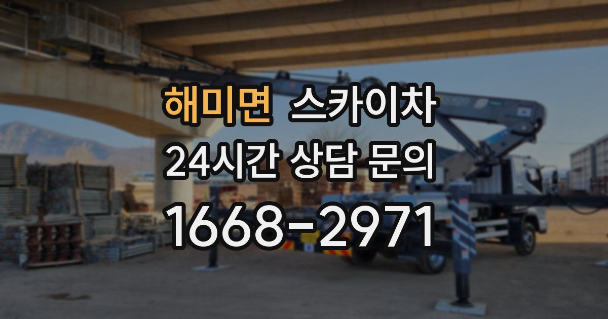 해미면 스카이차