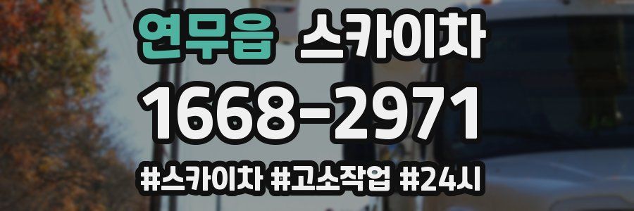 연무읍 스카이차