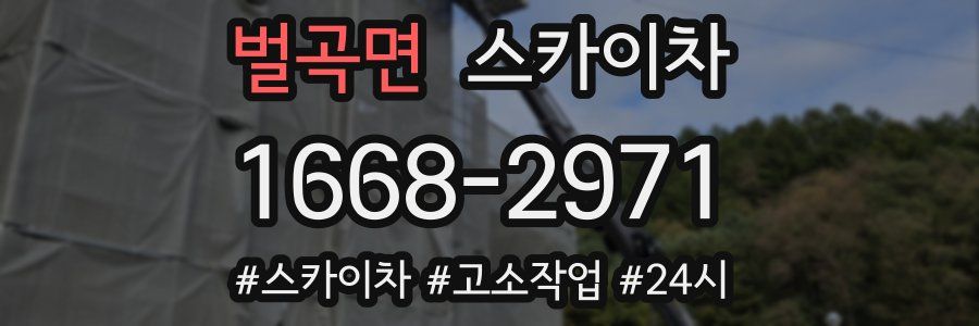 벌곡면 스카이차