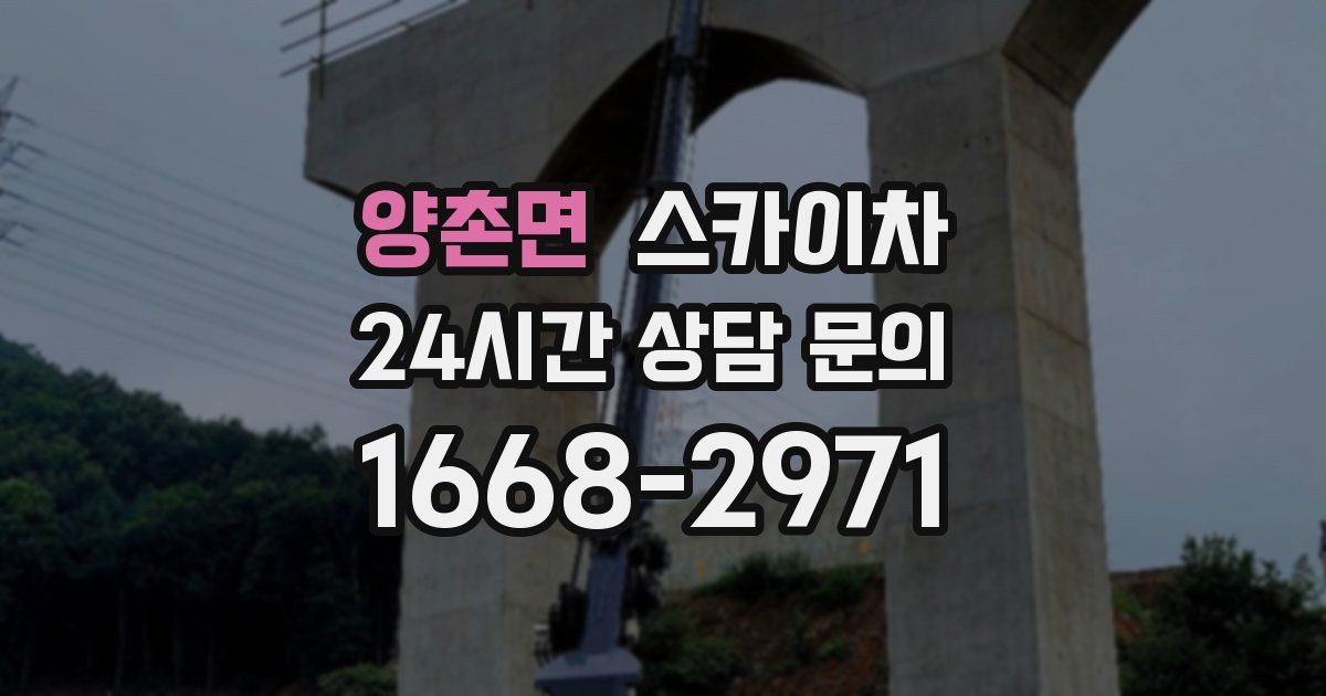 양촌면 스카이차