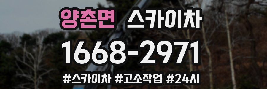 양촌면 스카이차