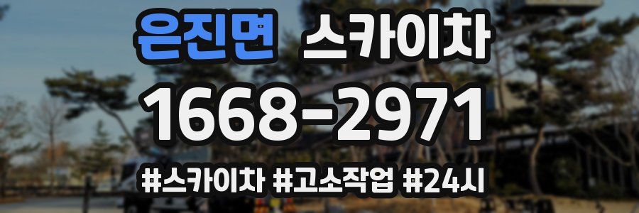 은진면 스카이차