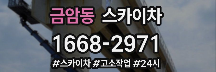 금암동 스카이차