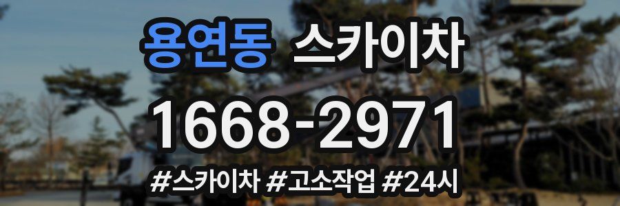 용연동 스카이차