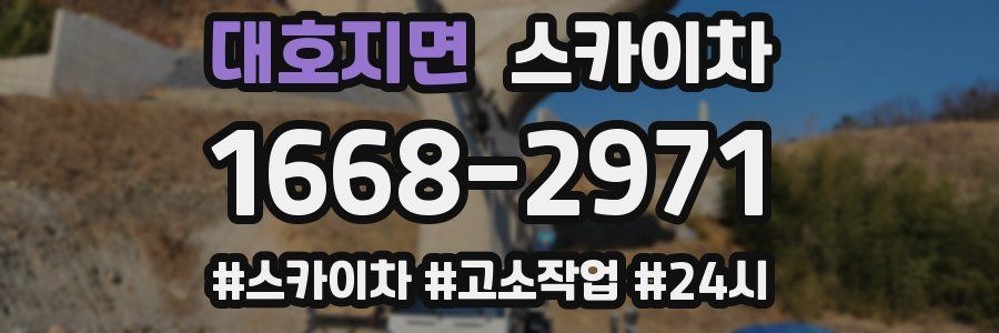 대호지면 스카이차