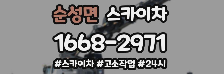 순성면 스카이차
