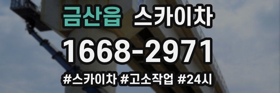 금산읍 스카이차