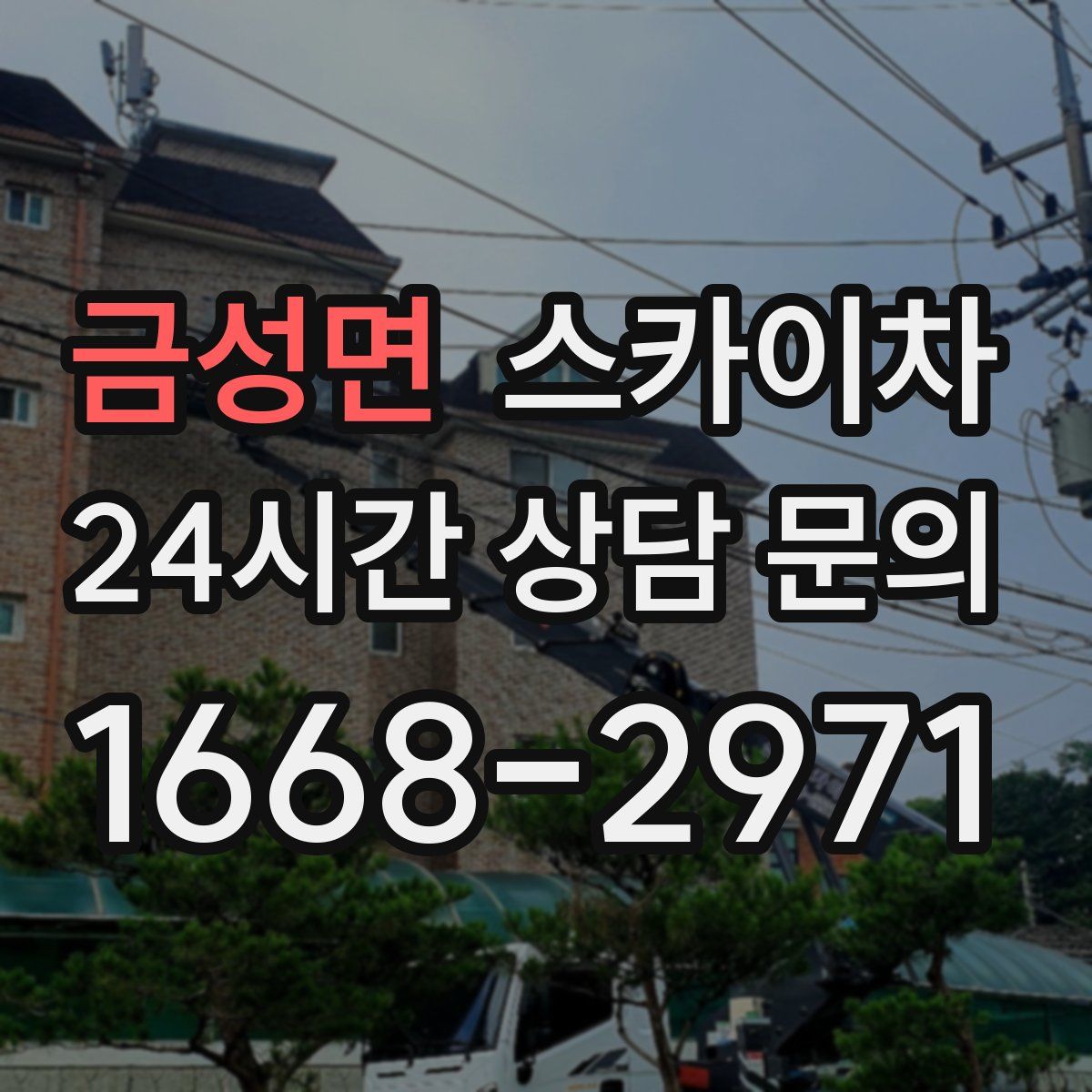 금성면 스카이차