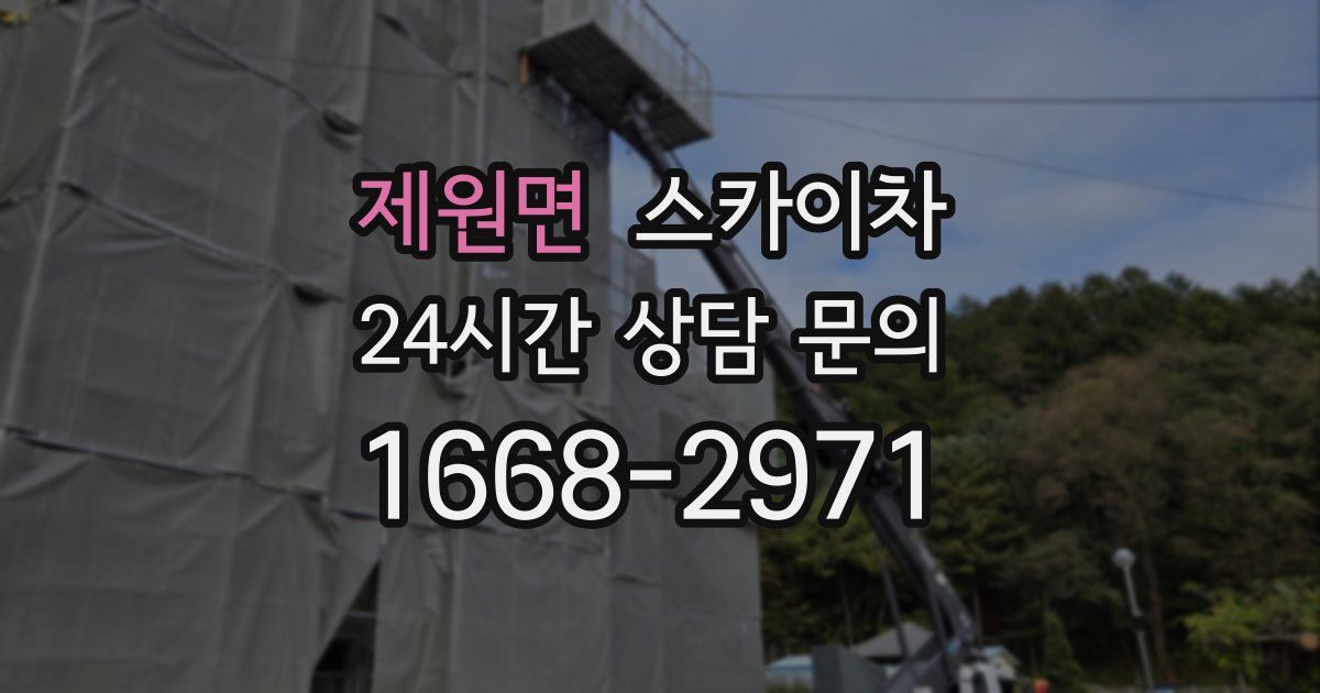 제원면 스카이차