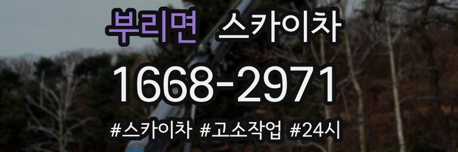 부리면 스카이차