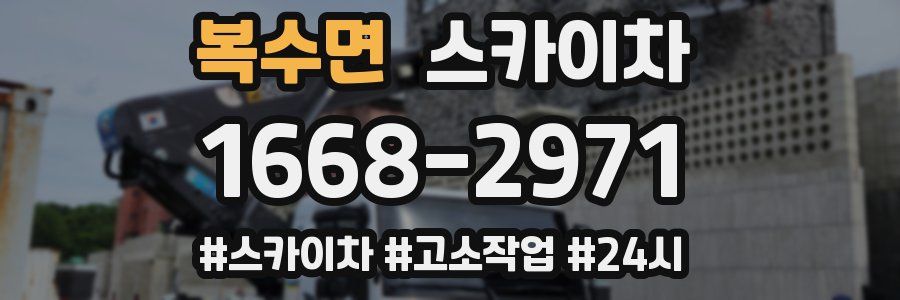 복수면 스카이차