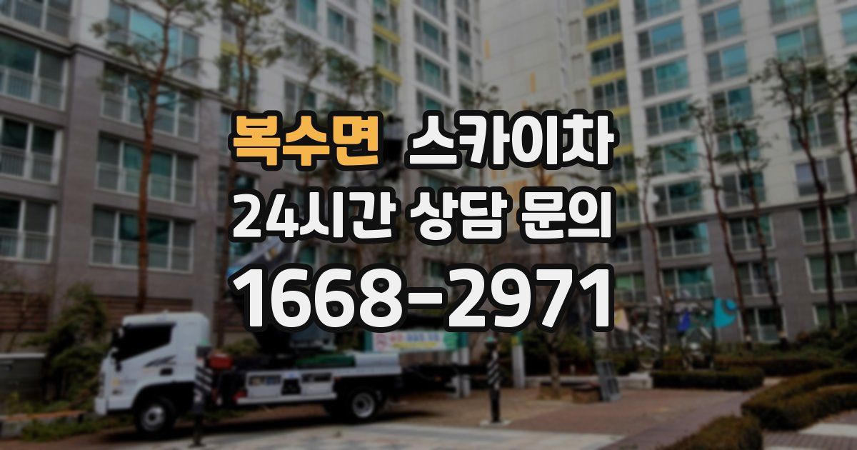 복수면 스카이차