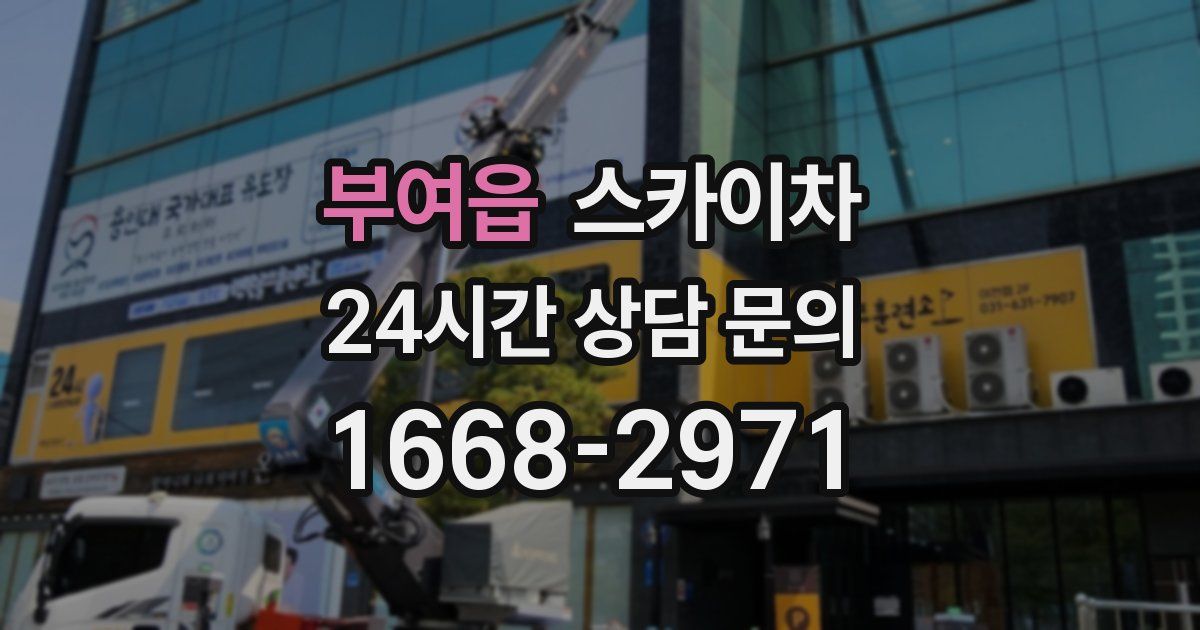 부여읍 스카이차