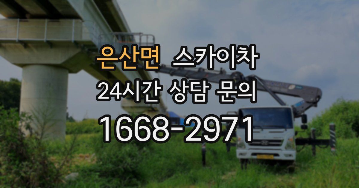 은산면 스카이차