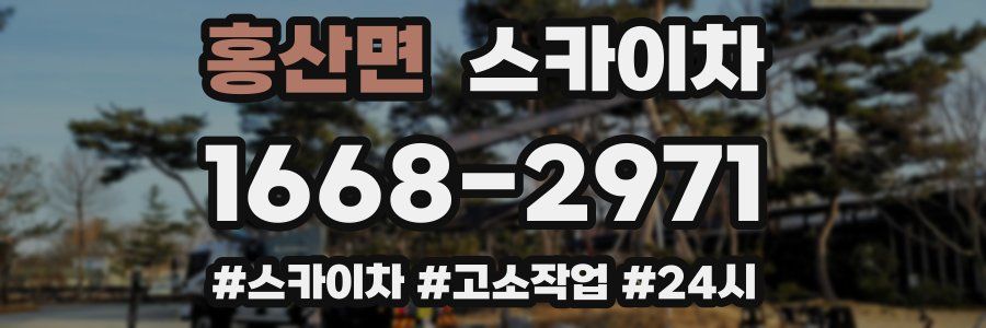 홍산면 스카이차