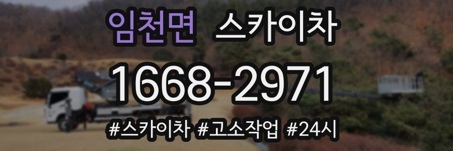 임천면 스카이차