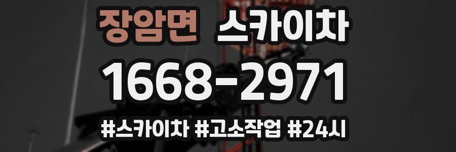 장암면 스카이차