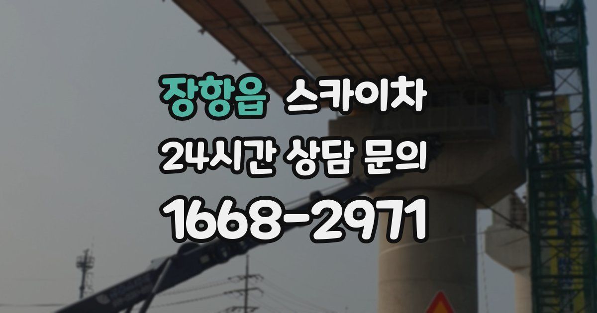 장항읍 스카이차