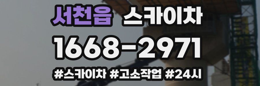 서천읍 스카이차