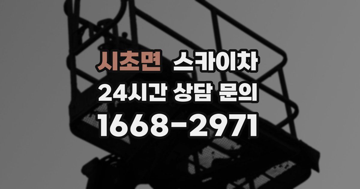 시초면 스카이차