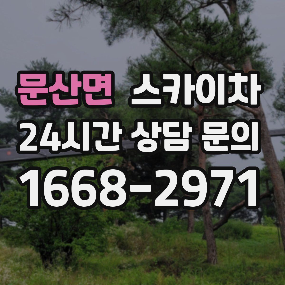 문산면 스카이차