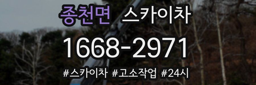 종천면 스카이차