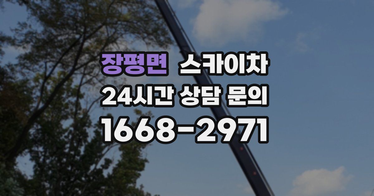 장평면 스카이차