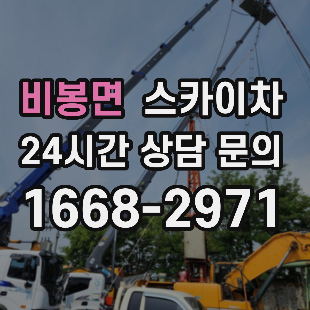 비봉면 스카이차