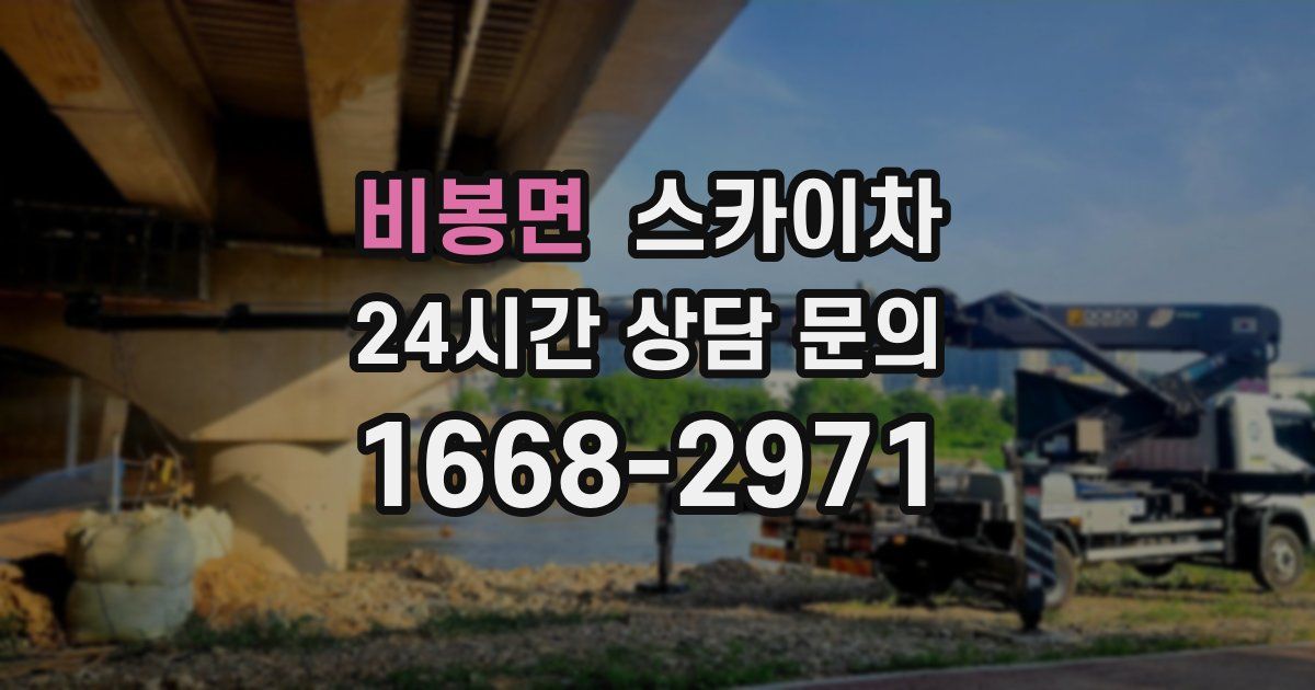 비봉면 스카이차