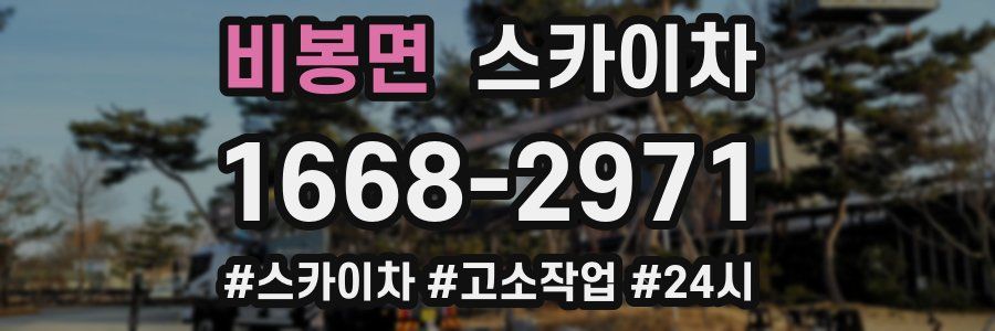 비봉면 스카이차