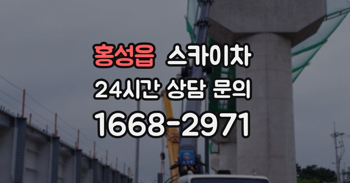 홍성읍 스카이차