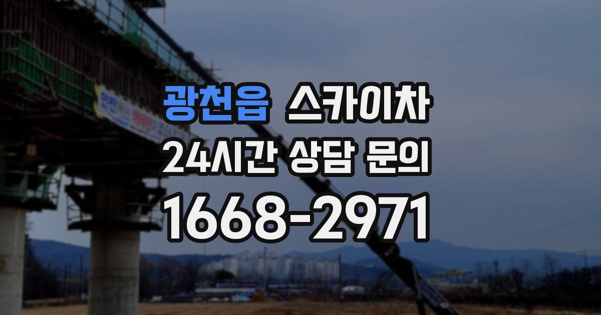 광천읍 스카이차