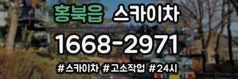 홍북읍 스카이차