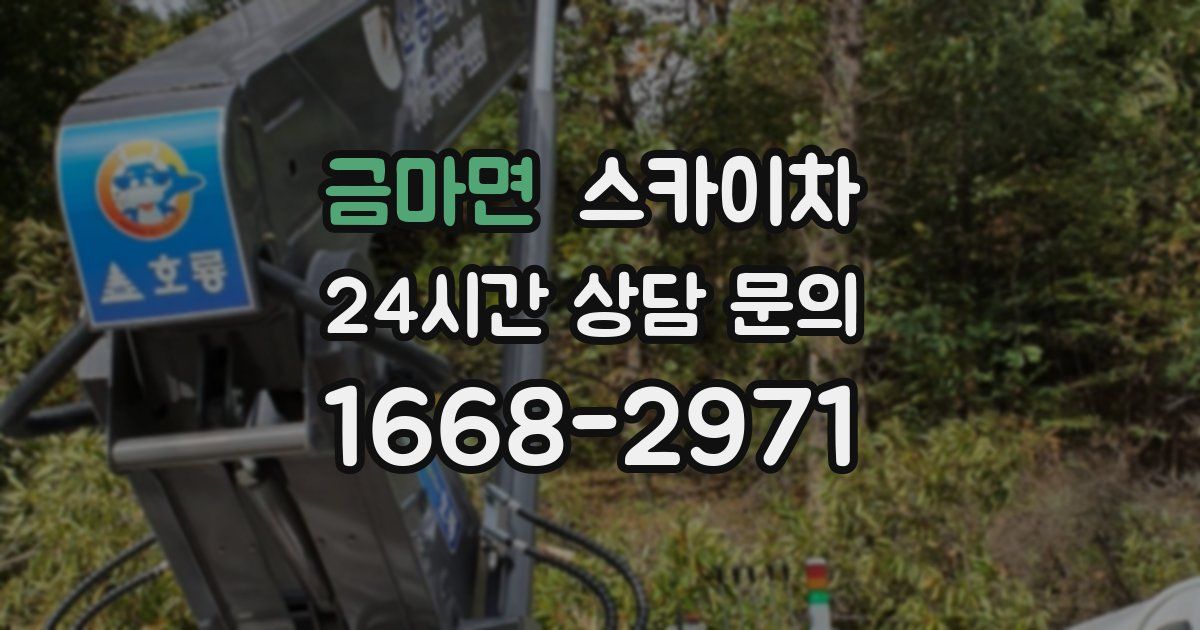 금마면 스카이차