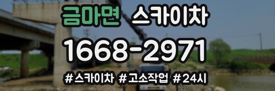 금마면 스카이차