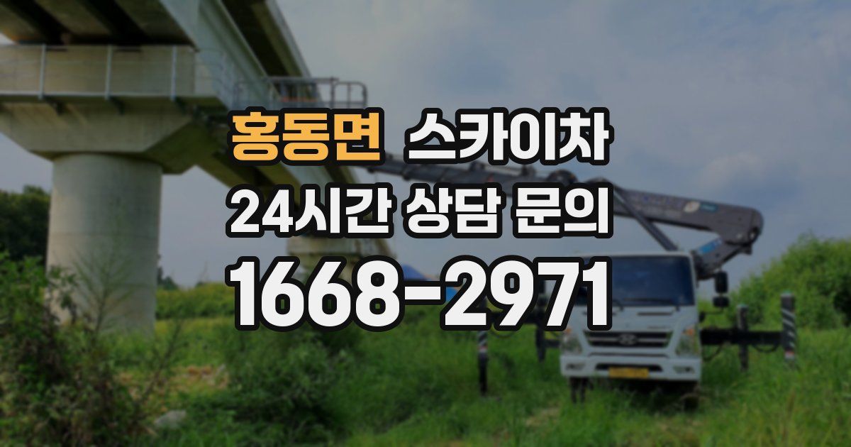 홍동면 스카이차