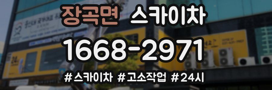 장곡면 스카이차