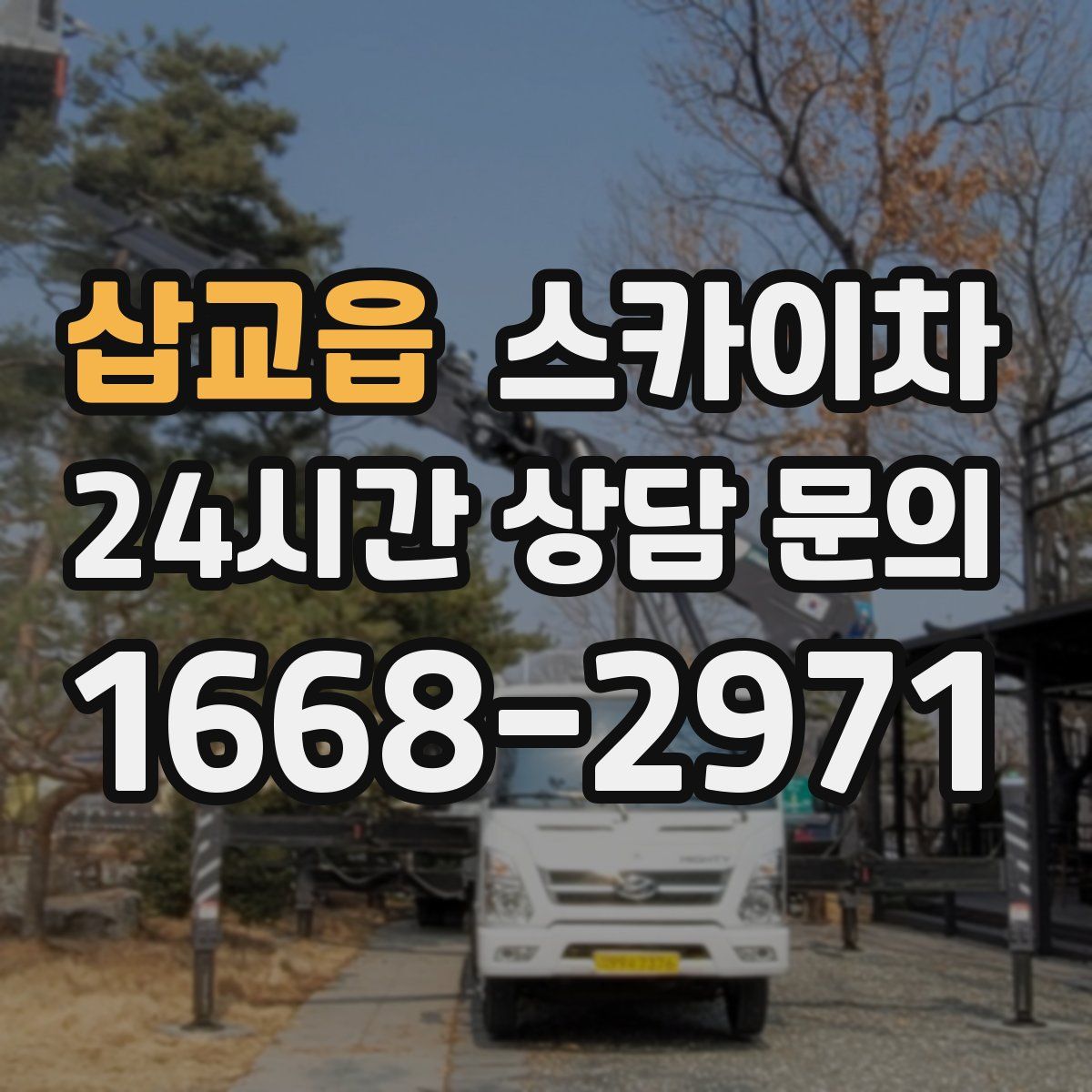 삽교읍 스카이차