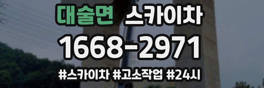 대술면 스카이차