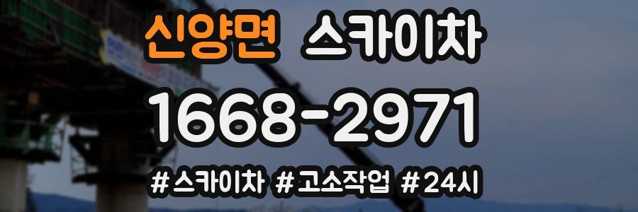 신양면 스카이차