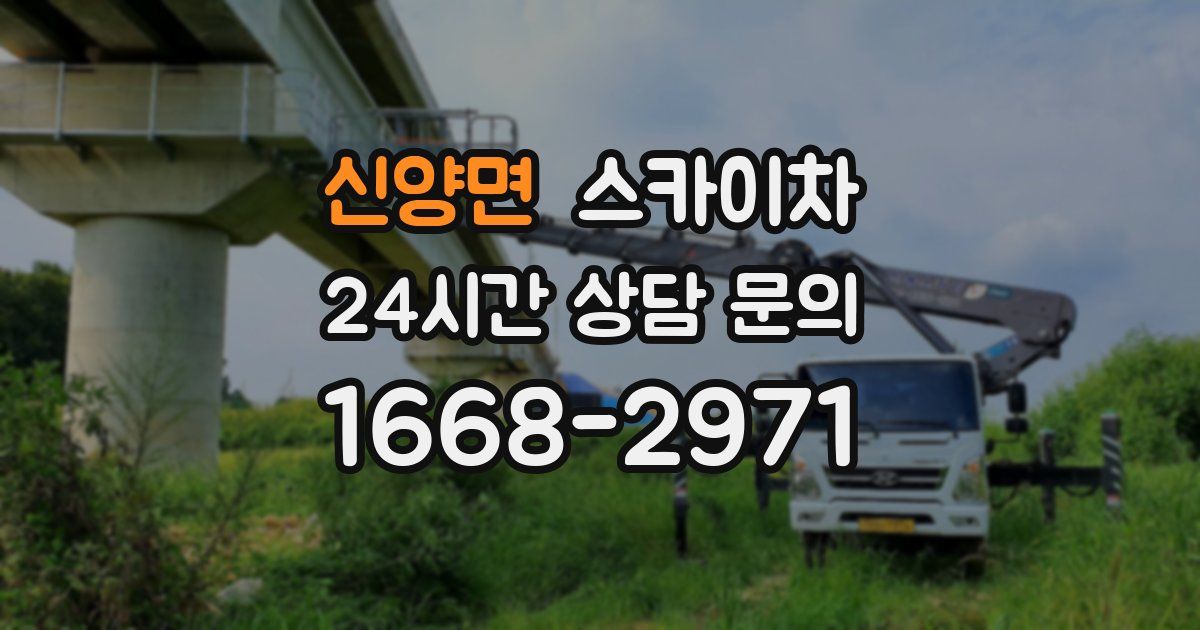 신양면 스카이차